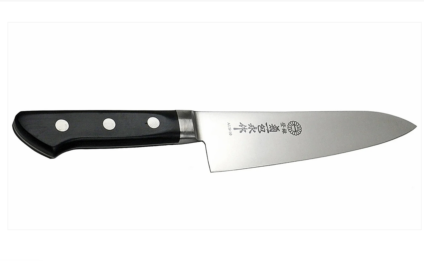 Kikuichi GM Series Stainless Steel Gyuto (GM21)